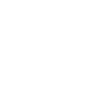Lyocell