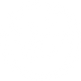 Silk Ripstop